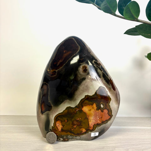 Moody Polychrome Jasper Free Form