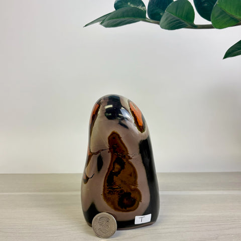 Moody Polychrome Jasper Free Form