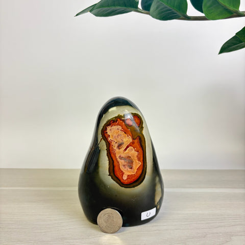 Moody Polychrome Jasper Free Form