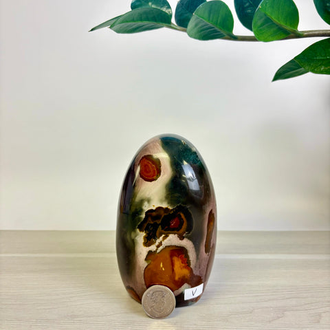 Moody Polychrome Jasper Free Form