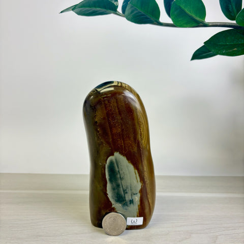 Moody Polychrome Jasper Free Form