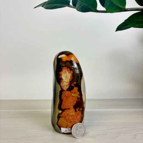 Moody Polychrome Jasper Free Form