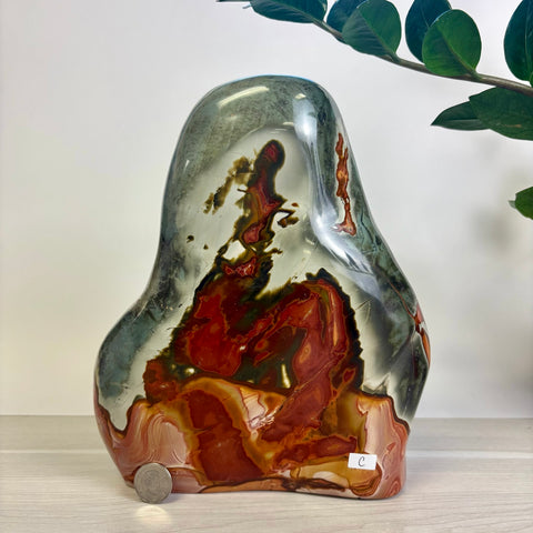 Moody Polychrome Jasper Free Form