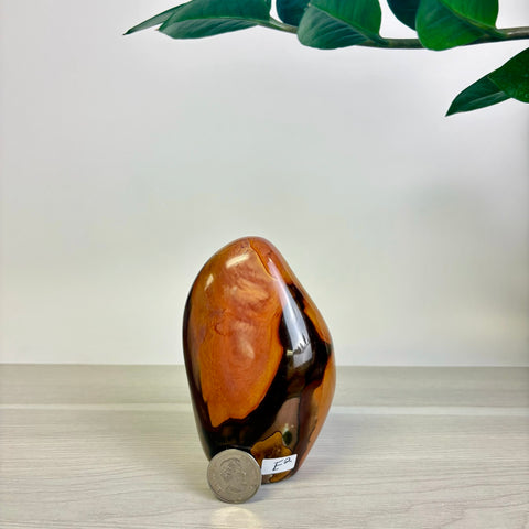 Moody Polychrome Jasper Free Form