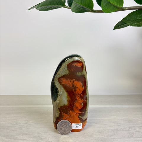 Moody Polychrome Jasper Free Form