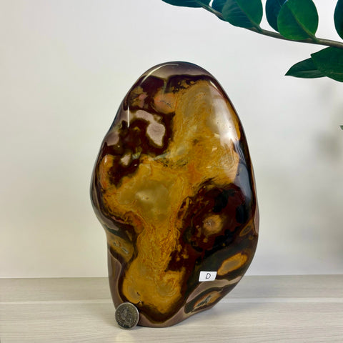 Moody Polychrome Jasper Free Form