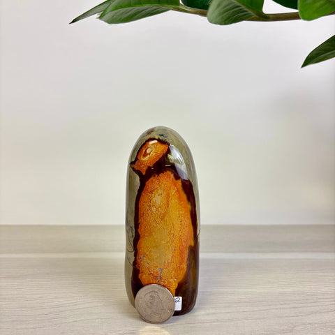 Moody Polychrome Jasper Free Form