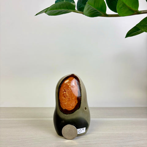 Moody Polychrome Jasper Free Form