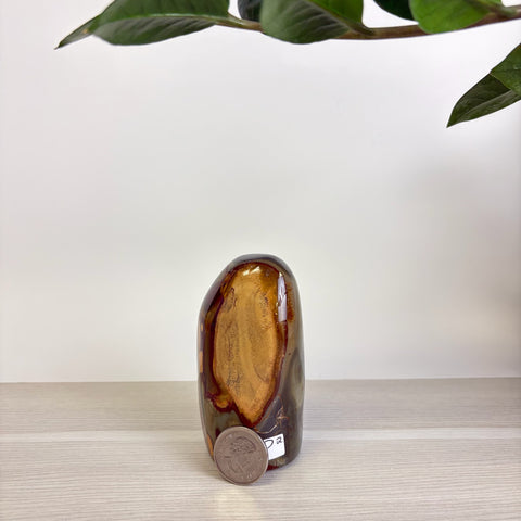 Moody Polychrome Jasper Free Form