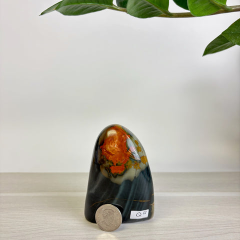 Moody Polychrome Jasper Free Form