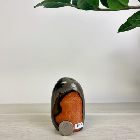 Moody Polychrome Jasper Free Form