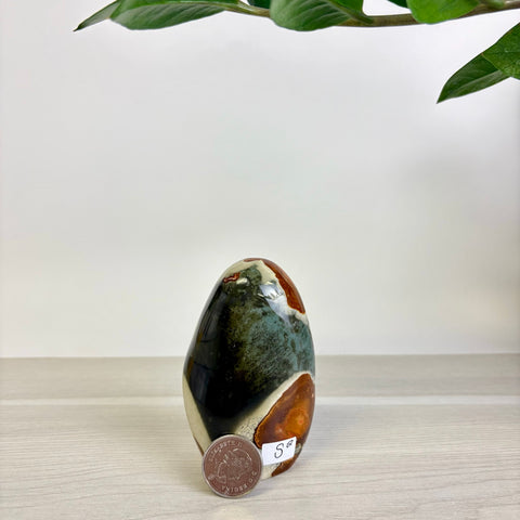 Moody Polychrome Jasper Free Form