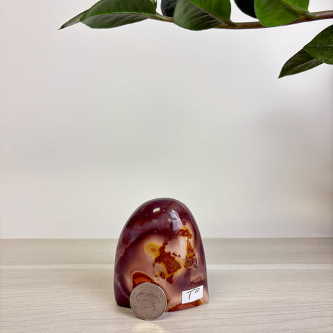 Moody Polychrome Jasper Free Form