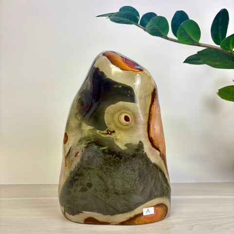 Moody Polychrome Jasper Free Form