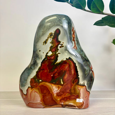 Moody Polychrome Jasper Free Form