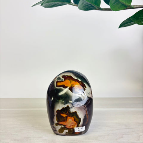 Moody Polychrome Jasper Free Form