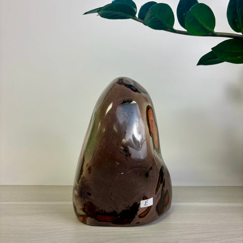 Moody Polychrome Jasper Free Form