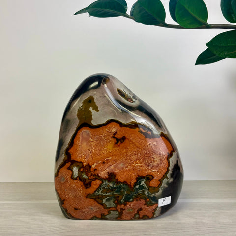 Moody Polychrome Jasper Free Form