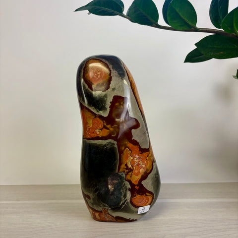Moody Polychrome Jasper Free Form