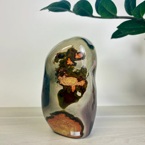 Moody Polychrome Jasper Free Form