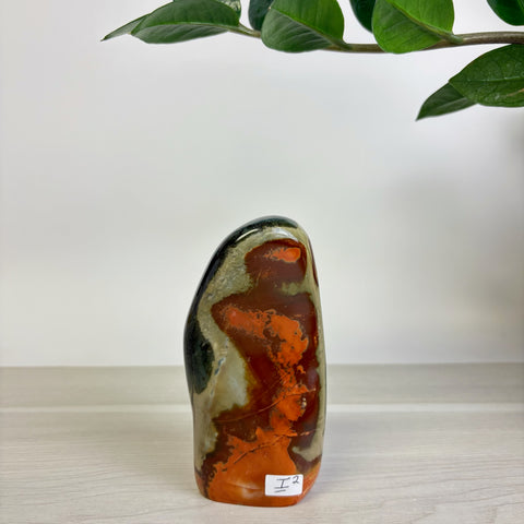 Moody Polychrome Jasper Free Form