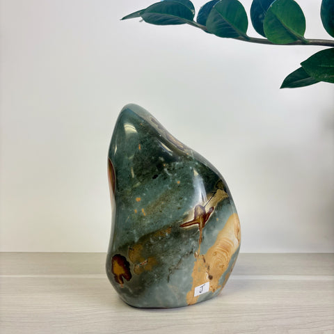 Moody Polychrome Jasper Free Form