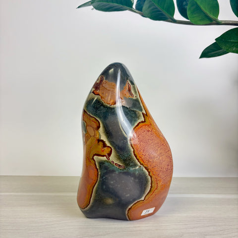 Moody Polychrome Jasper Free Form