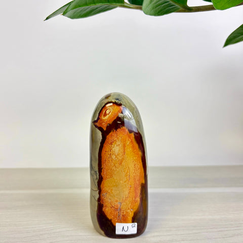 Moody Polychrome Jasper Free Form