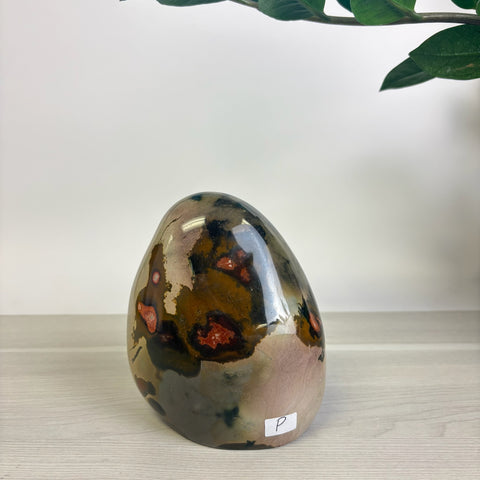 Moody Polychrome Jasper Free Form