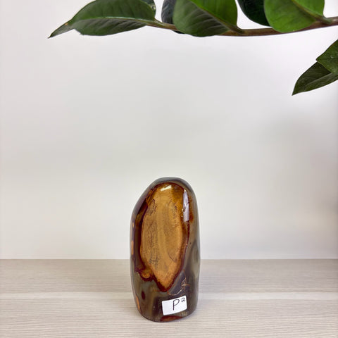 Moody Polychrome Jasper Free Form