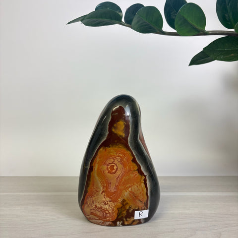 Moody Polychrome Jasper Free Form