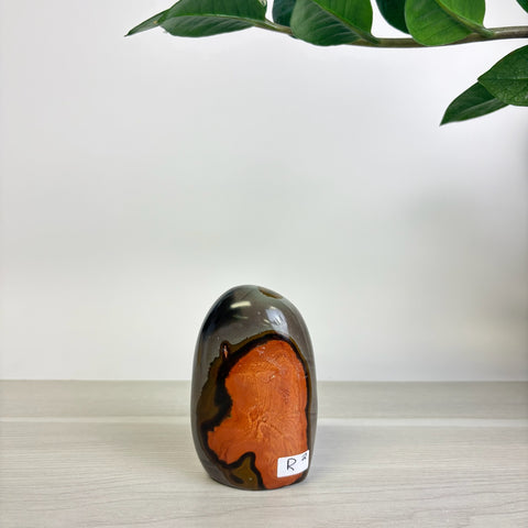 Moody Polychrome Jasper Free Form