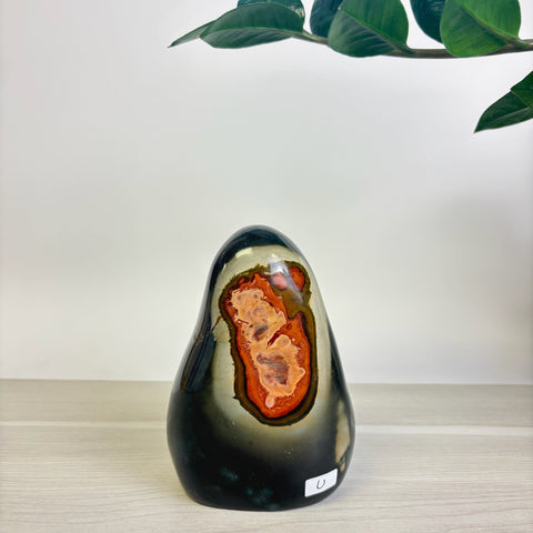 Moody Polychrome Jasper Free Form