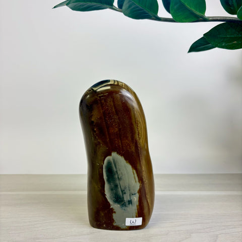 Moody Polychrome Jasper Free Form