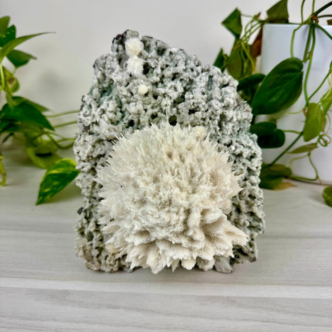 Mordenite Snowballs On Matrix Specimen B 2 - Kenna's Crystals from TikTok