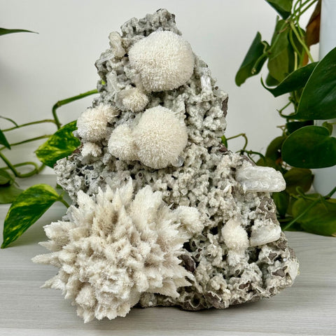 Mordenite Snowballs On Matrix Specimen C 14 - Kenna's Crystals from TikTok
