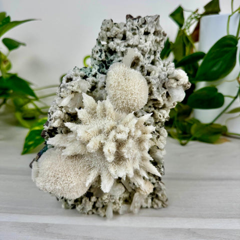 Mordenite Snowballs On Matrix Specimen E 4 - Kenna's Crystals from TikTok