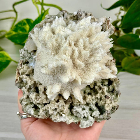 Mordenite Snowballs On Matrix Specimen G 6 - Kenna's Crystals from TikTok