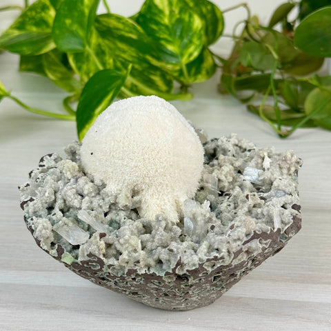 Mordenite Snowballs On Matrix Specimen H 7 - Kenna's Crystals from TikTok