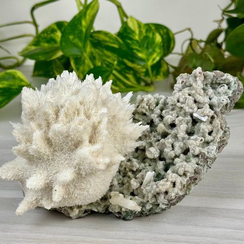 Mordenite Snowballs On Matrix Specimen J 9 - Kenna's Crystals from TikTok