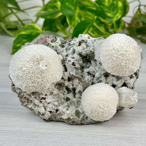 Mordenite Snowballs On Matrix Specimen K 10 - Kenna's Crystals from TikTok