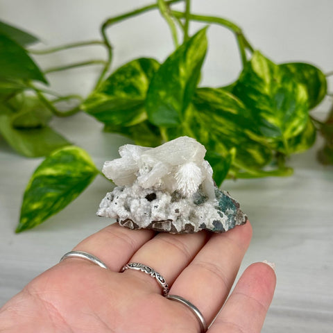 Mordenite Snowballs On Matrix Specimen N 13 - Kenna's Crystals from TikTok