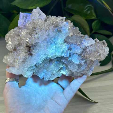 Moroccan Halite 255 8 - Kenna's Crystals from TikTok