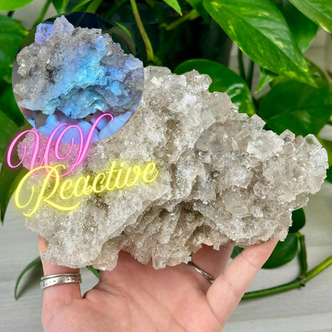 Moroccan Halite 44 1 - Kenna's Crystals from TikTok