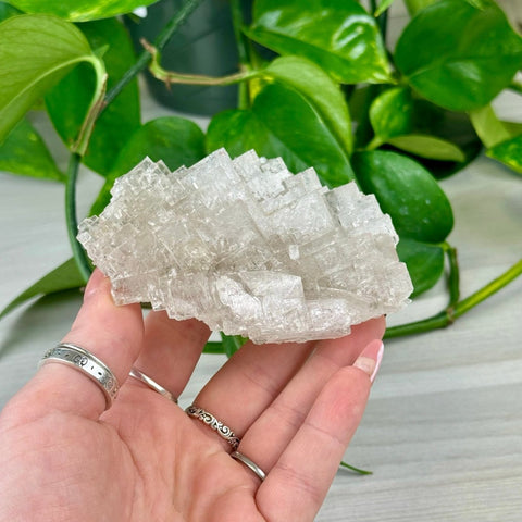 Moroccan Halite 55 2 - Kenna's Crystals from TikTok