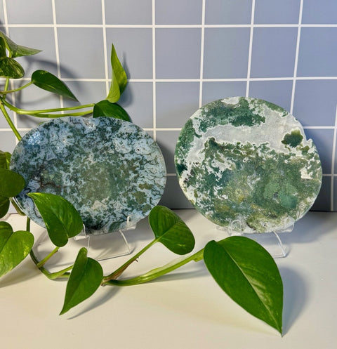Moss Agate Plate 77 5 - Kenna's Crystals from TikTok
