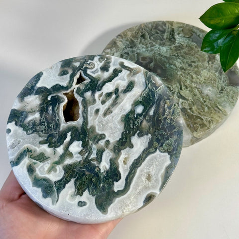 Moss Agate Thick Circle Slabs 111 7 - Kenna's Crystals from TikTok