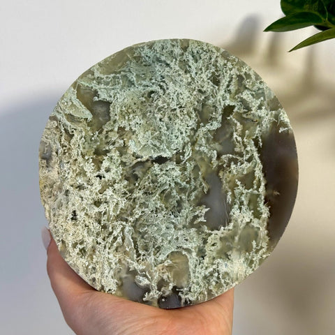 Moss Agate Thick Circle Slabs 122 8 - Kenna's Crystals from TikTok