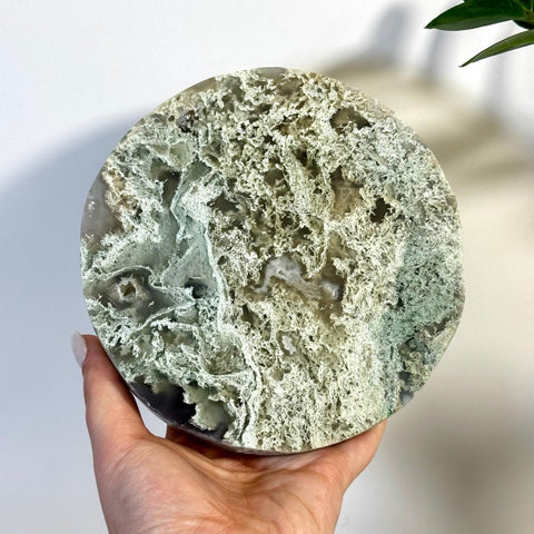 Moss Agate Thick Circle Slabs 88 5 - Kenna's Crystals from TikTok