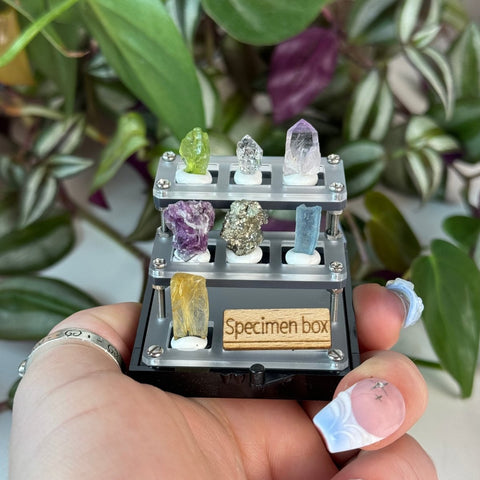 Mystery Mini Specimen Box 1 - Kenna's Crystals from TikTok